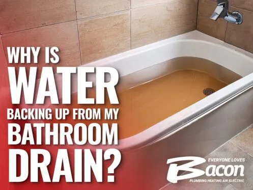 Toilet Backing Up Into Shower: What to Do Now