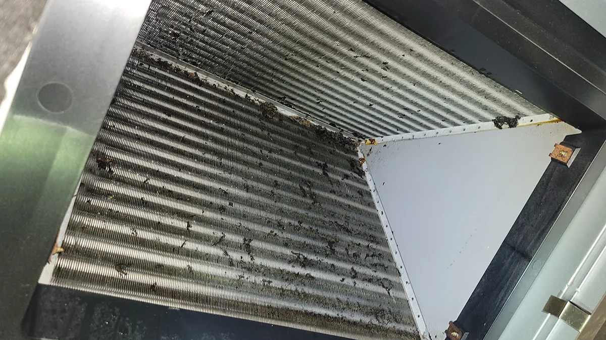 Close-up of a dirty HVAC evaporator coil with mold and debris buildup, a common cause of Dirty Sock Syndrome in air conditioning systems.